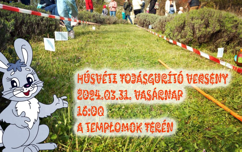Húsvéti tojásgurító verseny