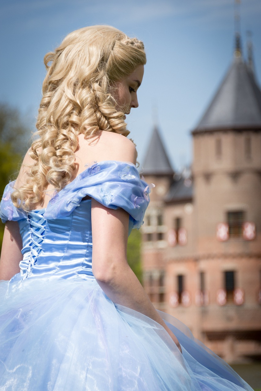 Disneylander csillaga
