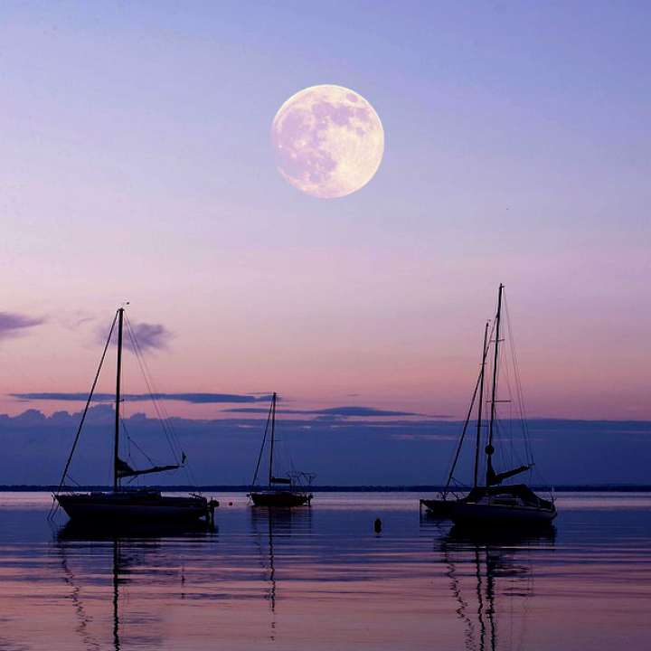 Holdfény és dal a Balaton tükrében
