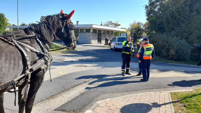 Szüreti felvonulás