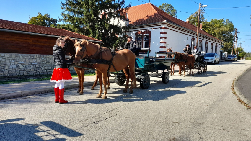 Szüreti felvonulás