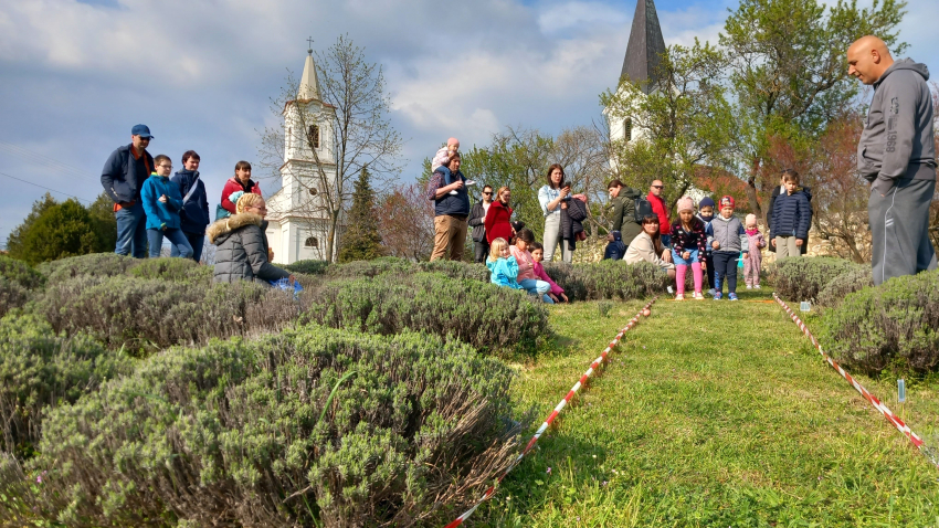 II.Tojásgurító verseny