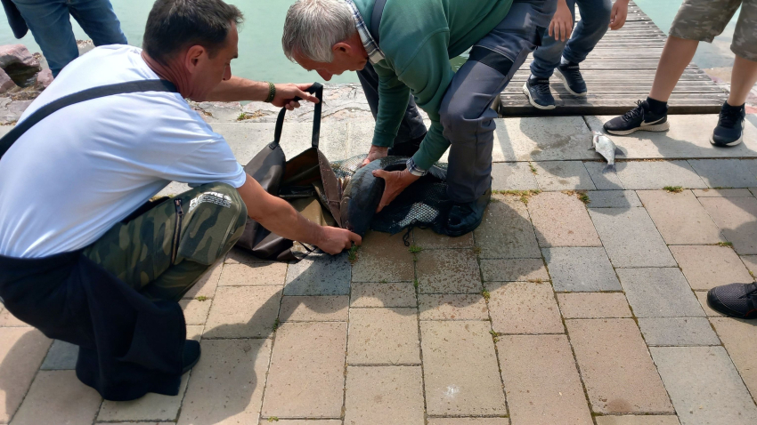 Gyemeknapi horgászverseny és Felhőtánc duó