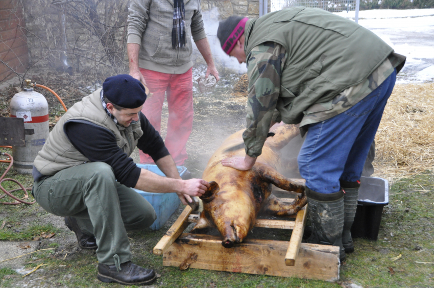 Disznóvágás 2019