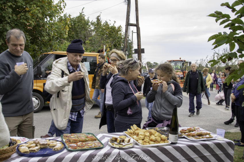 Képek a 2019-es szüreti felvonulásról