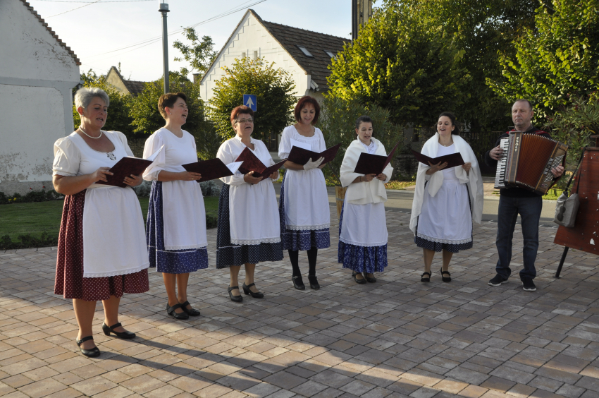 Szüreti programok - Értékszemle szüretkor