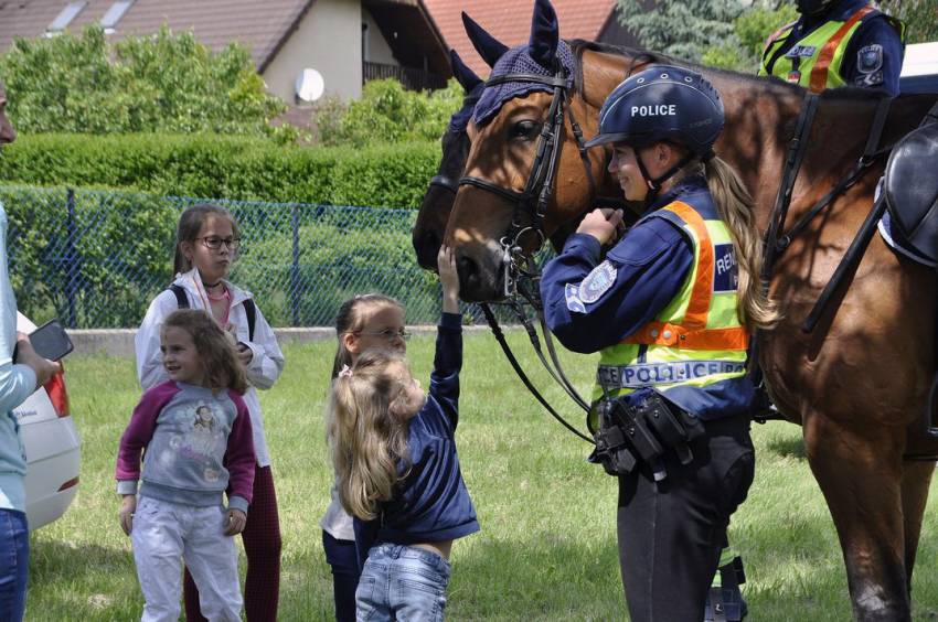 Gyereknap