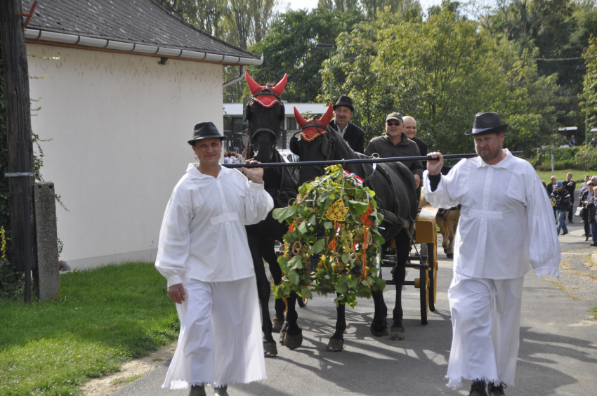 Képek a 2019-es szüreti felvonulásról