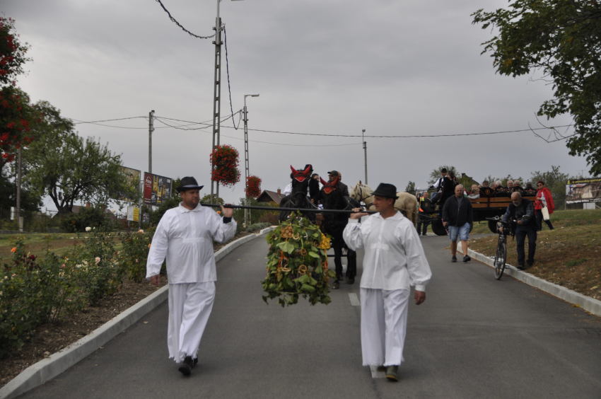 Képek a 2019-es szüreti felvonulásról