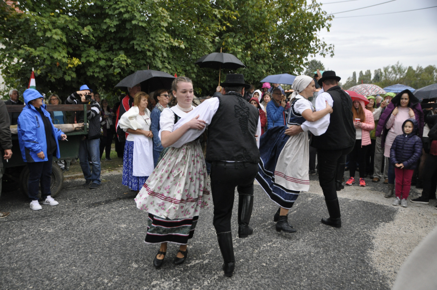 Képek a 2019-es szüreti felvonulásról