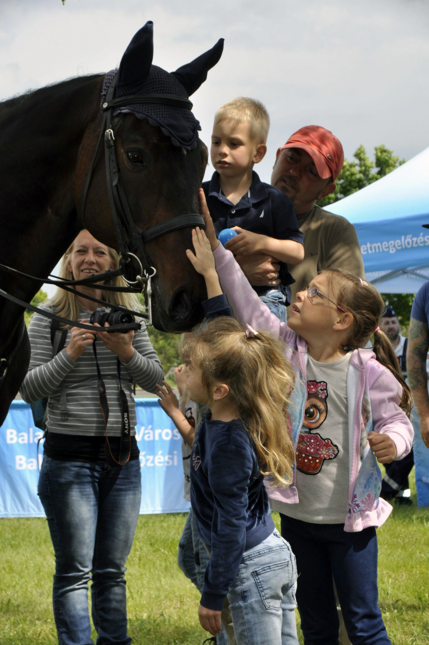 Gyereknap