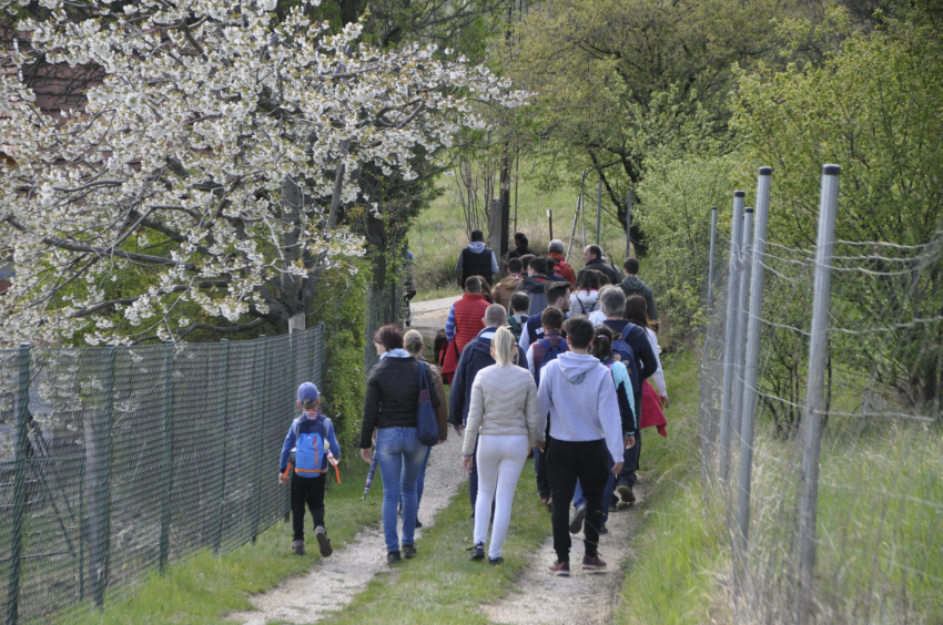 A második hétvége képekben - szombat