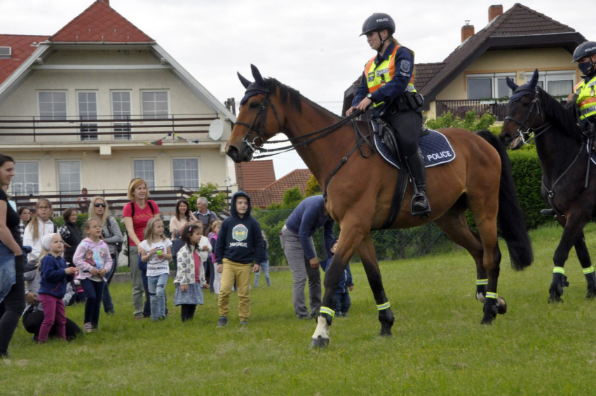 Gyereknap