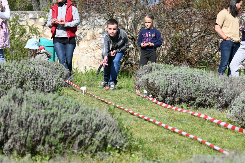 Tojásgurító verseny