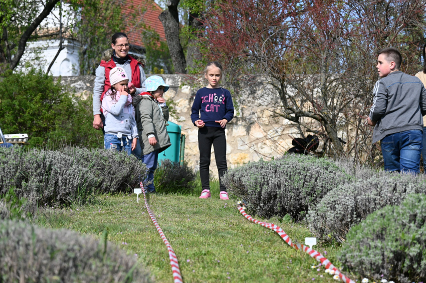 Tojásgurító verseny