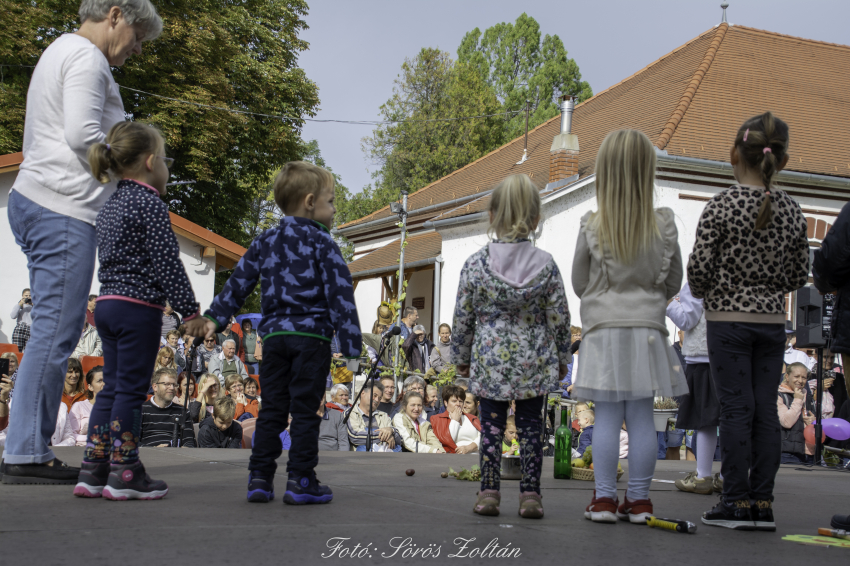 Képek a 2019-es szüreti felvonulásról