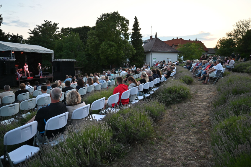 Kávészünet koncert
