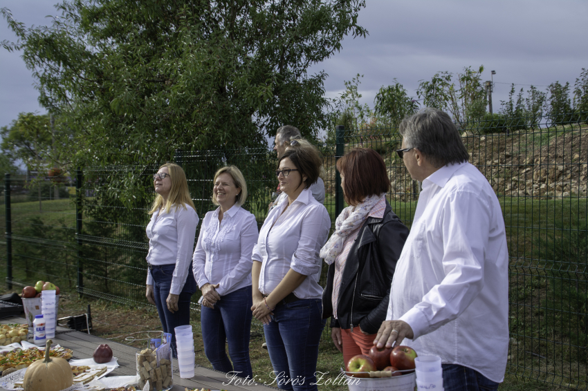 Képek a 2019-es szüreti felvonulásról