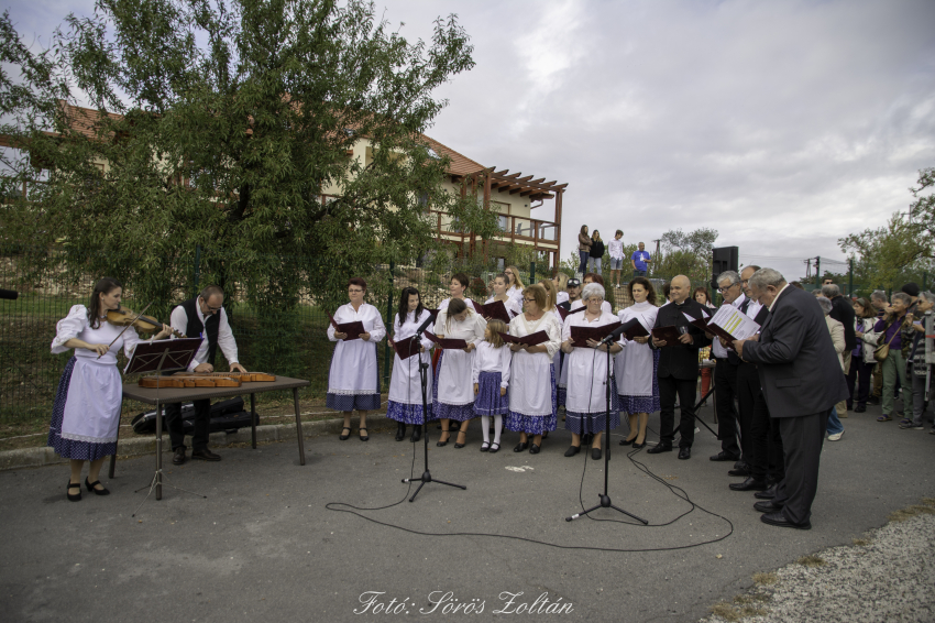 Képek a 2019-es szüreti felvonulásról