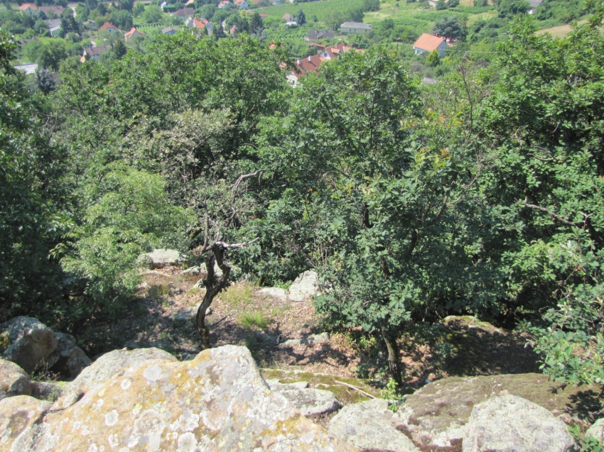 Akali gyerkőceink táboroznak - frissítve a második hét képeivel