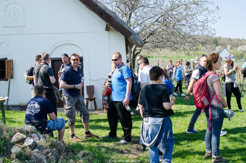 Akali bor napja mandulavirágzáskor 2017