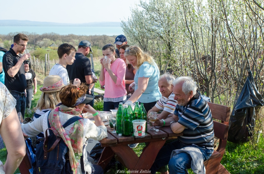 Akali bor napja mandulavirágzáskor 2017