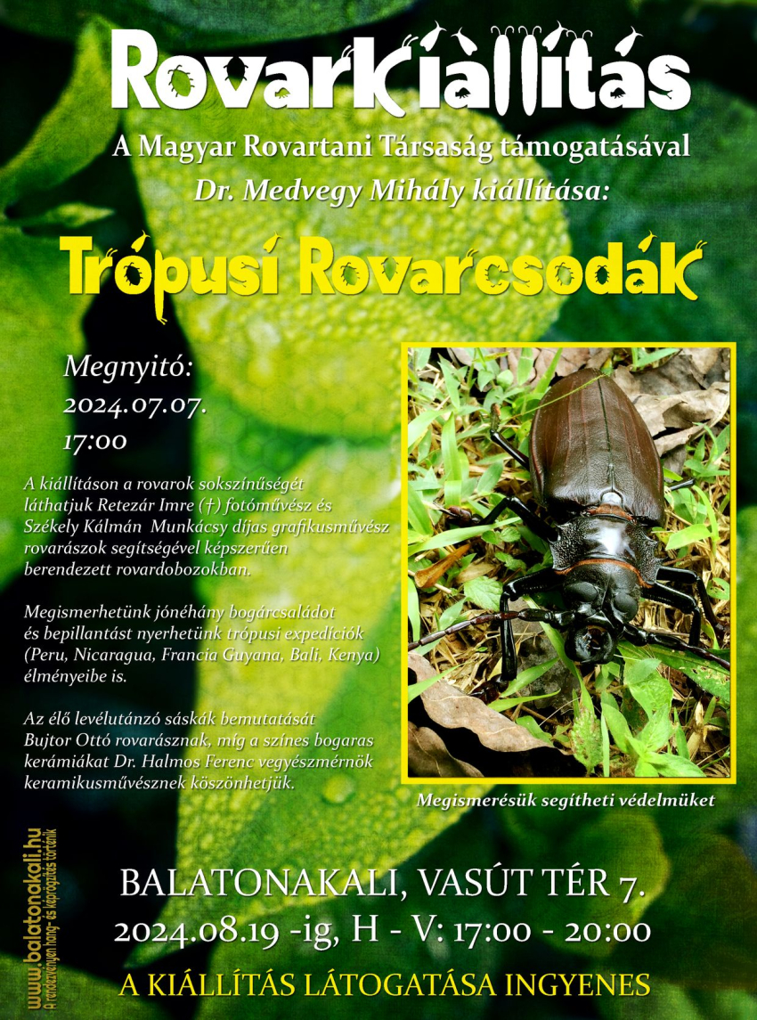 Trópusi rovarcsodák