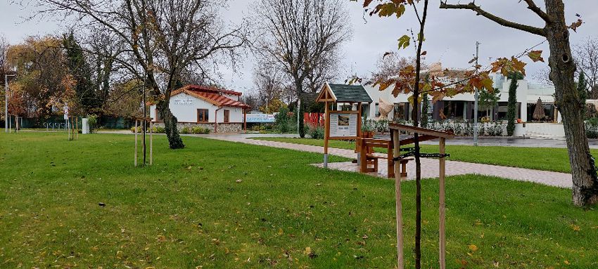 új zöldterület, épület