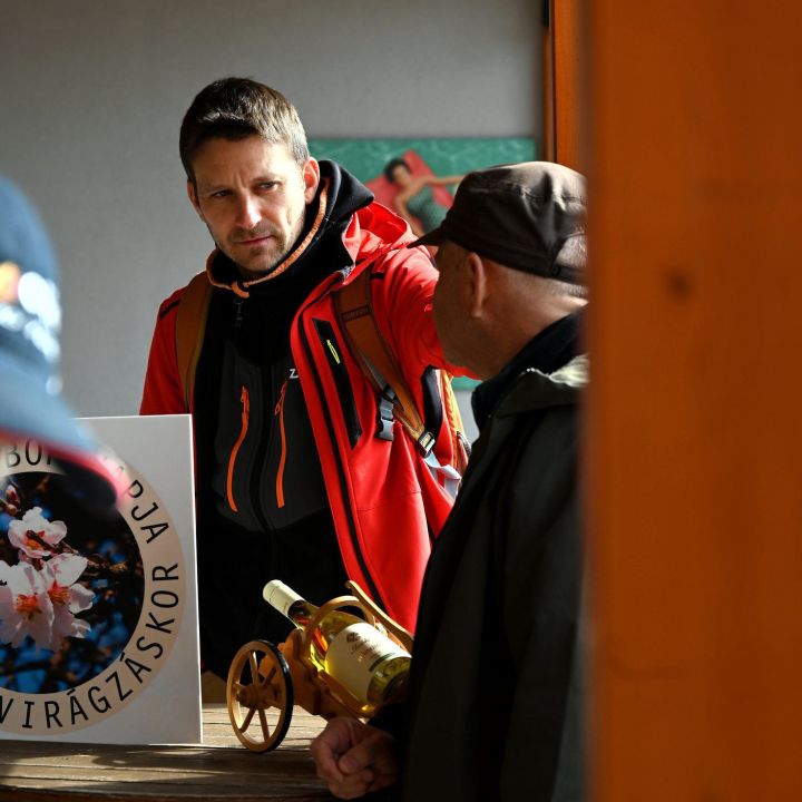 Akali Bor Napja Mandulavirágzáskor 2026