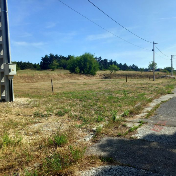 Pályázati hirdetmény 504/3