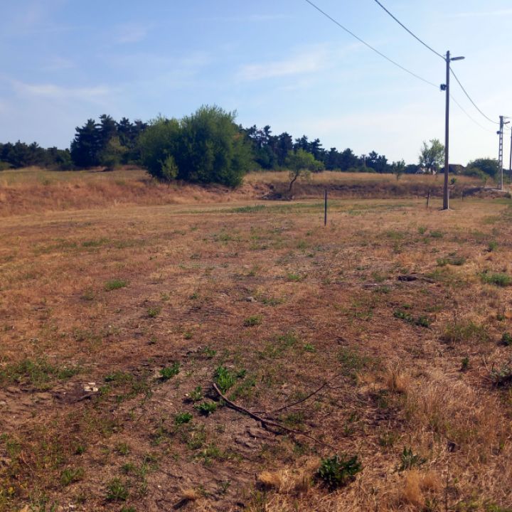 Pályázati hirdetmény 504/2